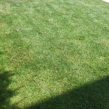 Koçtaş’ta 4 Kullanımda Arızalanan Çim Kesme Makinesi İçin İade Reddi