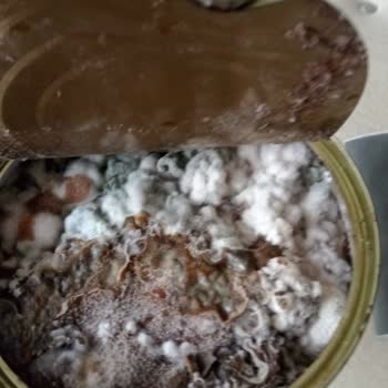 Küflü Ürün, Sık Sipariş İptalleri Ve Cevapsız Tavır