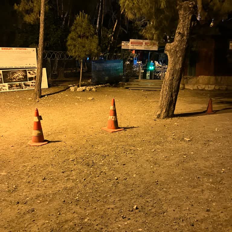 TBMM Milli Saraylar Chimera Yanartaş'a İşletme Sahibi Yüzünden Giremememiz
