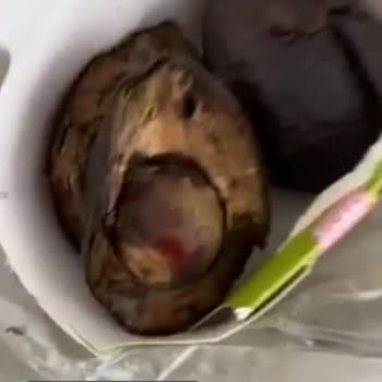 Carrefour SA Carrefour SA Market Siparişi Kötü Gelmesi