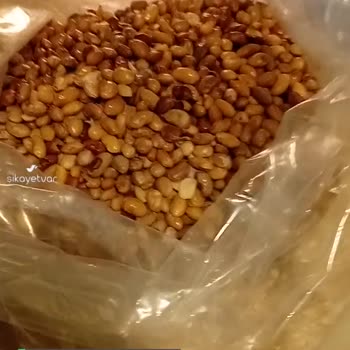 Egeden Kadın Dayanışması Kötü Kokulu Barbunya