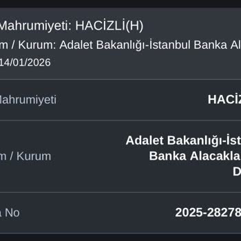 Yanlış İcra Dosyası Görünümü Ve Geri Dönüşsüzlük Şikayeti