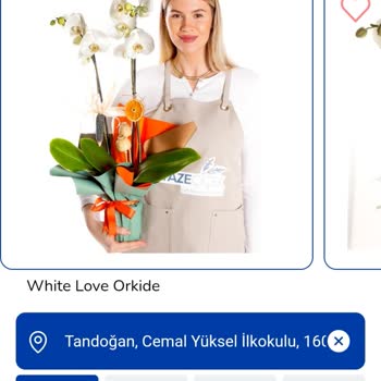 Sipariş Edilen Orkide Görseliyle Uyuşmadı Ve Firma Oyalıyor