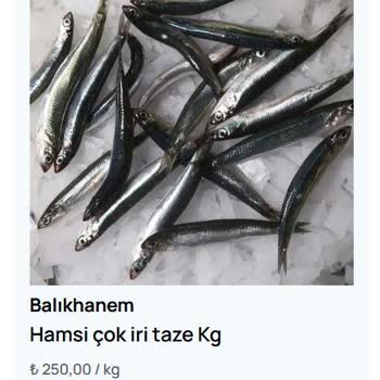 Balıkhanem Deniz Ürünlerinde Donuk Ve Küçük Balık, Eksik Buz Aküsü Ve Tam İade Talebi