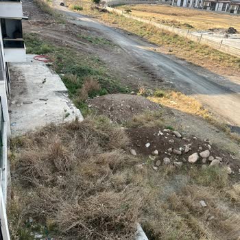 Kaya Namsa Sitesi Çevresindeki Yabani Ot Ve Atıkların Temizliği İle İlaçlaması İçin Acil Talep
