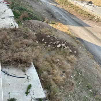 Kaya Namsa Sitesi Çevresindeki Yabani Ot Ve Atıkların Temizliği İle İlaçlaması İçin Acil Talep