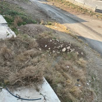 Kaya Namsa Sitesi Çevresindeki Yabani Ot Ve Atıkların Temizliği İle İlaçlaması İçin Acil Talep