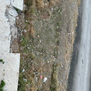 Kaya Namsa Sitesi Çevresindeki Yabani Ot Ve Atıkların Temizliği İle İlaçlaması İçin Acil Talep