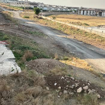 Kaya Namsa Sitesi Çevresindeki Yabani Ot Ve Atıkların Temizliği İle İlaçlaması İçin Acil Talep