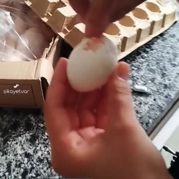 Özen Gross Yumurtadan Solucan Çıkmıştır