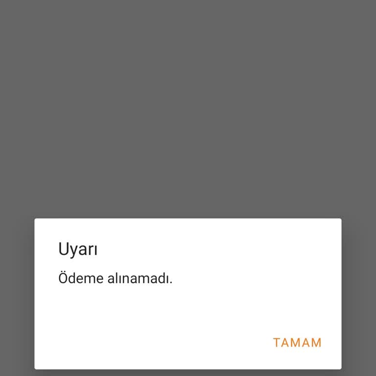 Kartımın Online Alışveriş Özelliği Kapalı, 415 TL’ye Erişilemiyor