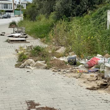 Four Life Sitesinde İlaçlama Eksikliği Ve Altyapı Sorunları