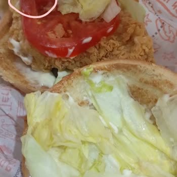 Domatesin İçinde Kurt Olan Hamburgerde Hijyen İhlali Ve İade Reddi