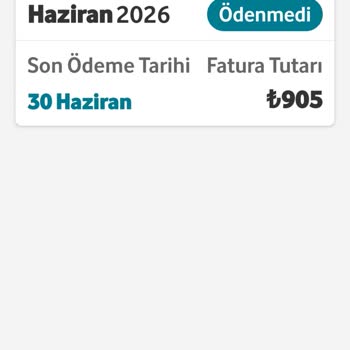 Beklenmedik Yüksek Fatura Ve Yurt Dışı Kullanım Ücretlerinin İptali Talebi