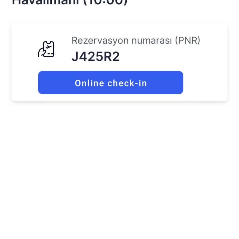 Online Check-In Çalışmıyor, Müşteri Mağduriyeti
