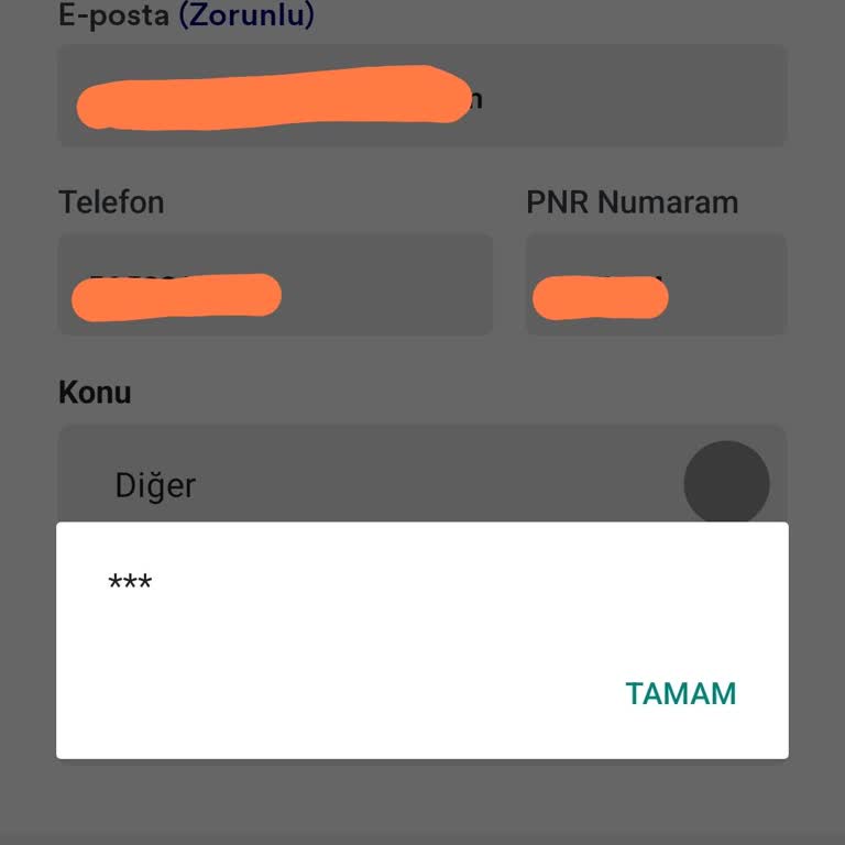 Telefon Numarası Güncellenemiyor, SMS Doğrulama Ve İletişim Formu Çalışmıyor