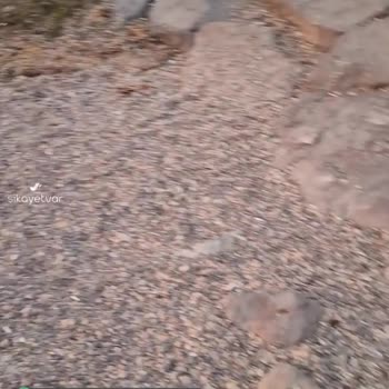 Mudanya Sahil Kenarı Temizlensin
