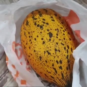 Migros Hemen'den Çürük Gelen Kavun
