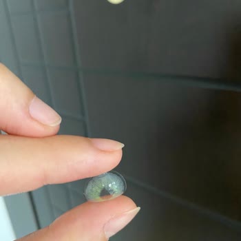 Dimgray Lenslerde Şişme Sorunu Ve Yetersiz Müşteri Çözümü