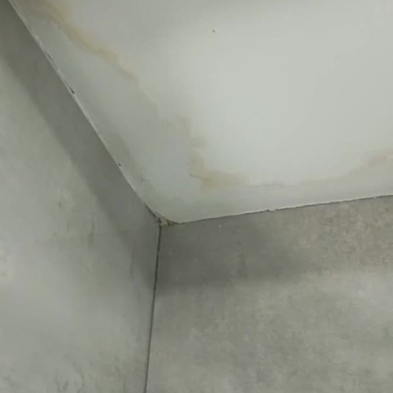 Kayseri Talas Avenir Neva B Blokta Yeni Dairenin Banyosundan Su Sızması Çözülmedi