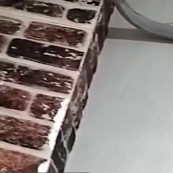 Fujiplus Yardımcı Olacak Kişi Bulamıyoruz