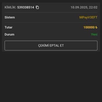 Bayconticasino IP Adresi Nedeniyle Para Çekim Talebimin Reddedilmesi ve Açıklama Talebi