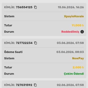 Bayconticasino IP Adresi Nedeniyle Para Çekim Talebimin Reddedilmesi ve Açıklama Talebi