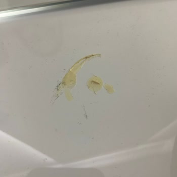 Air Wick Elektrikli Ürün Vestiyer Boyasını Soydurdu, Tamir Ve Ücret İadesi Talebi