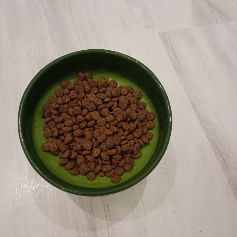 Petlebi'den Gelen N&D Kedi Maması Şüpheli Koku Ve İhmal Edilen Müşteri Servisi