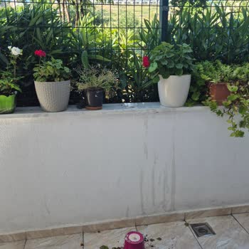 Esenyurt Belediyesi Sulama Tankeri Bahçemize Zarar Verdi