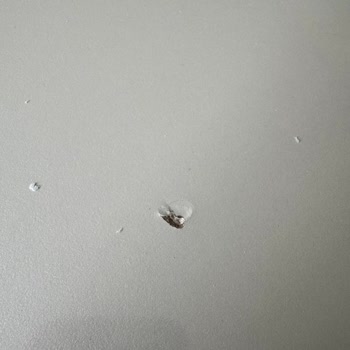 Düğün Öncesi Geciken Mobilya Teslimatı Ve Defolu Ürünler Nedeniyle Mağduriyet