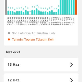 Aşırı Yüksek Elektrik Faturası Ve Sayaç İncelemesi Talebi