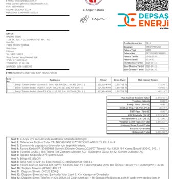 Aşırı Yüksek Elektrik Faturası Ve Sayaç İncelemesi Talebi