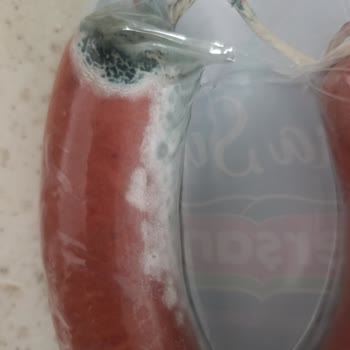 Küflü Sucuk Teslimatı Ve Yetersiz Müşteri Desteği