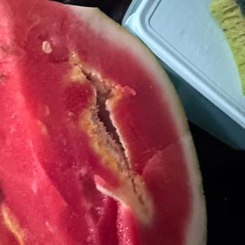 Migros Hemen'de Bozuk Karpuz Ve Yanıtsız Müşteri Hizmeti Şikayeti