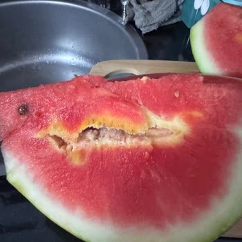 Migros Hemen'de Bozuk Karpuz Ve Yanıtsız Müşteri Hizmeti Şikayeti