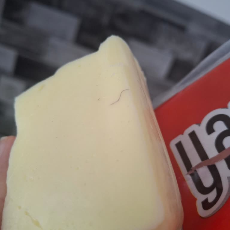 Yaprak Kaşar Peynirinde Kıl Bulunması