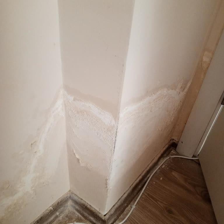 Sel Sonrası Ev Su Basması Ve Depozito İadesi Reddi