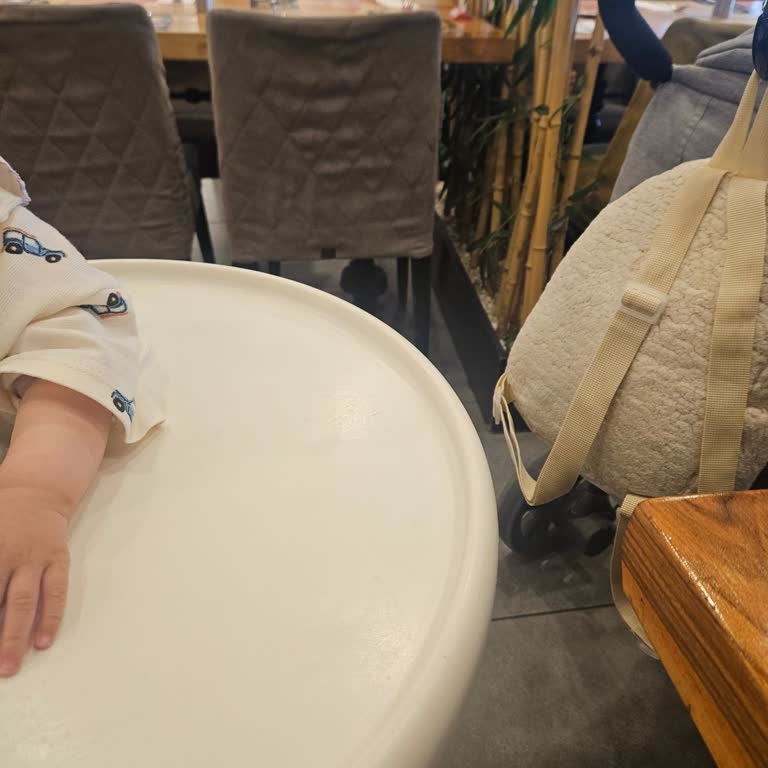 Bebek Arabası Nedeniyle Aileye Saygısız Davranış