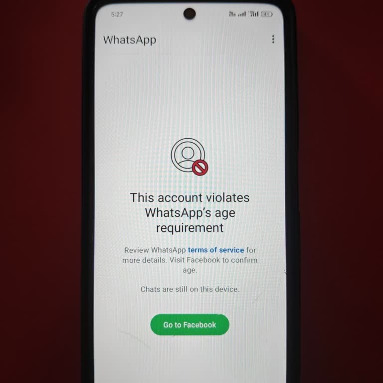 My WhatsApp Number Not Working