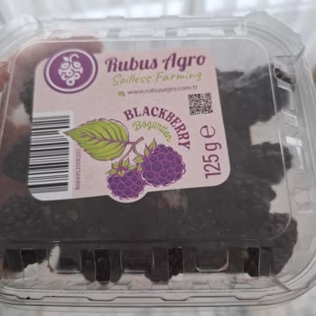 Migros Sanal Market’ten Çürük Ve Böcekli Böğürtlen Paketi