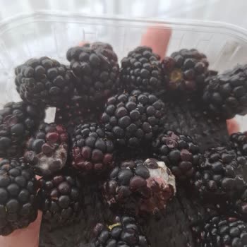 Migros Sanal Market’ten Çürük Ve Böcekli Böğürtlen Paketi