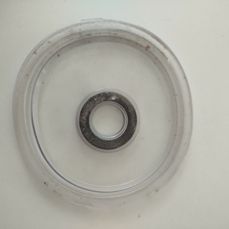 Onvo OVDs02Plus Katlanabilir Süpürge Toz Torbası Kapağı Kırıldı Ve Yedek Parça Temininde Zorluk