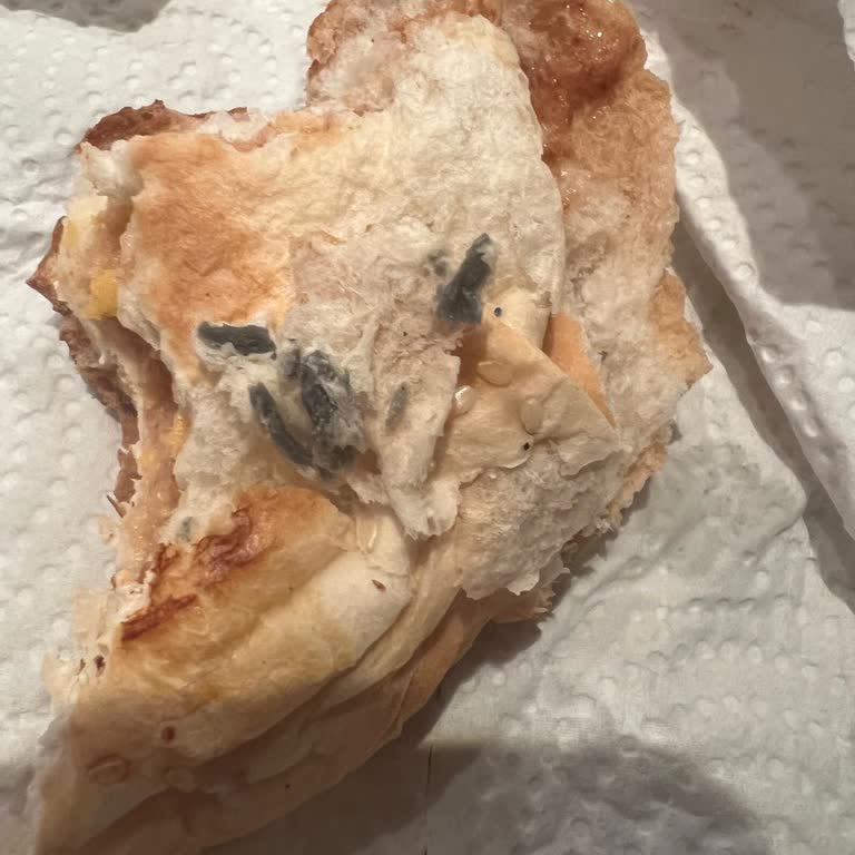Migros Hamburger Ekmeğinde Belirlenemeyen Yeşilimsi Madde Ve Laboratuvar Analiz Talebi