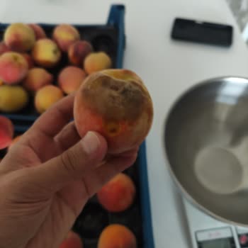 Metro Market Şeftali Alımında Eksik Kilo Ve Çürük Ürün Şikayeti