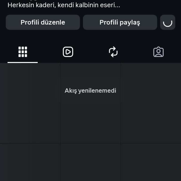 Instagram Hesabım Kısıtlandı, Akış Yenilenmedi Hatası