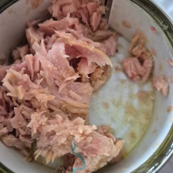 Migros Tuna Konserve İçinde Plastik Ve Bilinmeyen Yabancı Madde