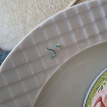 Migros Tuna Konserve İçinde Plastik Ve Bilinmeyen Yabancı Madde