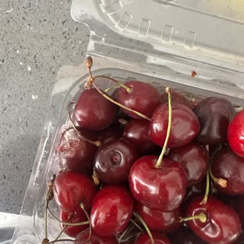 Soğuk Zincir İhlali Sonucu Kirazların Küflenmesi Ve Geri Ödeme İsteği