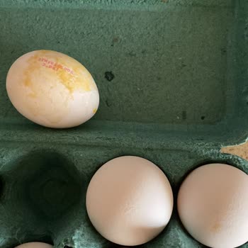 Migros Hemen’de Bozuk Yumurta Satışı Ve Müşteri Hizmetlerinin İlgisizliği